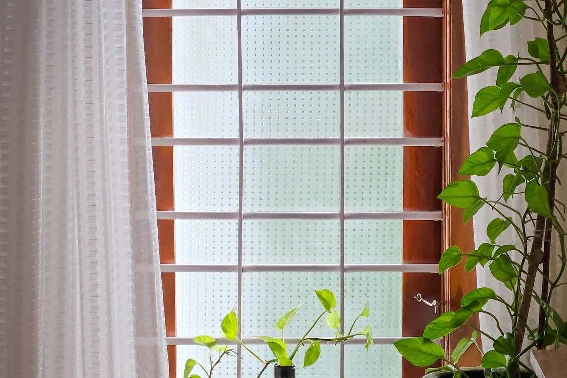 A tall wooden window with a gridded pane letting soft light into a room, a plant cutting in a bottle on the sill and a white curtain at the side.