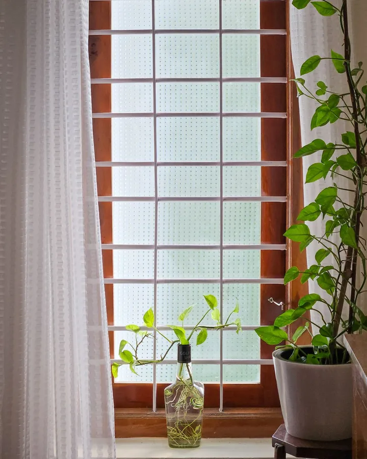 A tall wooden window with a gridded pane letting soft light into a room, a plant cutting in a bottle on the sill and a white curtain at the side.